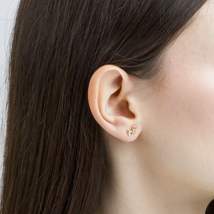 Kolczyki ze złota pies